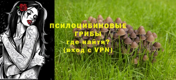 сатива Остров