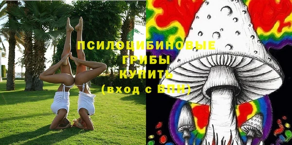 сатива Остров