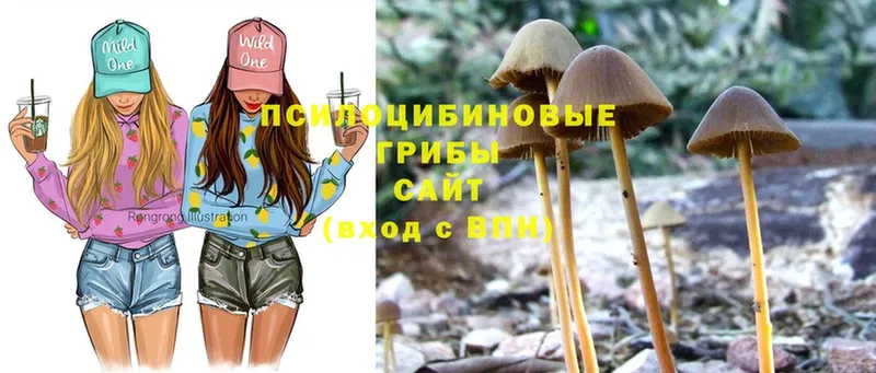 Галлюциногенные грибы Cubensis  Рыбное 